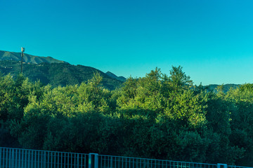 Italian outskirts train Pisa Riomaggiore, SCENIC VIEW OF FOREST AGAINST CLEAR BLUE SKY