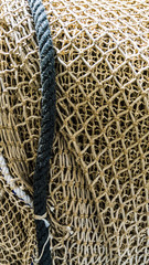 Fischnetz