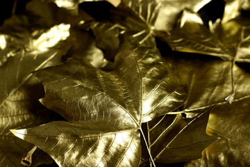  Golden leaves close up background texture. Golden background.