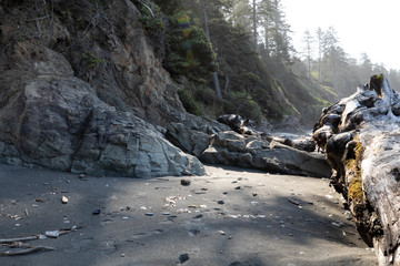 Olympic National Park, WA, USA. 