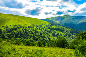 Fototapeta na wymiar Ukrainian Carpathian Mountains 13
