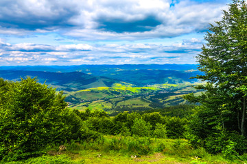 Obraz premium Ukrainian Carpathian Mountains 16