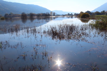 die Sonne spiegelt sich in einem See in Kärnten