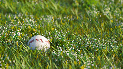 Close up of baseball in the green grass, with shallow depth of field with focus on ball. Macro shot with copy space on the right and top. 3d render illustration.