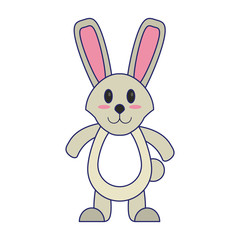 Cute rabbit cartoon