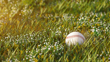Close up shot of a new baseball lying in the green grass in the afternoon with shallow depth of field with focus on ball. 3d render illustration.