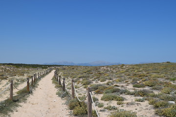 Fototapeta na wymiar way path beach natrue mountain sand green blue