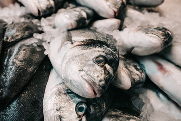 Fresh fish on ice