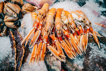 Norway lobsters in the market