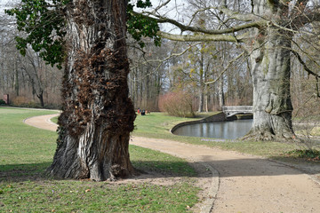 weg im schlosspark worms-herrnsheim