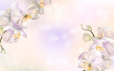 Vector banner with Luxurious orchid flowers for invitation, sales, packaging, natural cosmetics, perfume. Space for text. © gsshot
