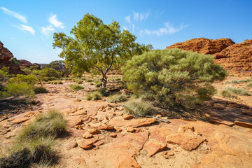 hiking in kings canyon in the sun, watarrka national park, northern territory, australia 8