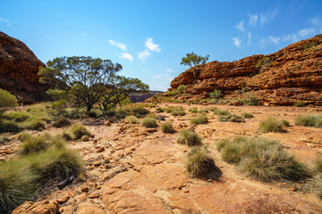 hiking in kings canyon in the sun, watarrka national park, northern territory, australia 10