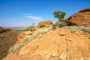 hiking in kings canyon in the sun, watarrka national park, northern territory, australia 26