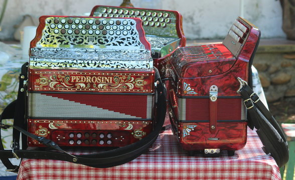 Three accordions for popular party