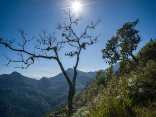 Fototapeta na wymiar Scenic view of mountain range, Kaluk, West Sikkim, India