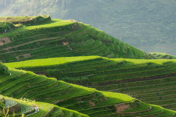 Fototapeta premium Longsheng rice terraces landscape in China