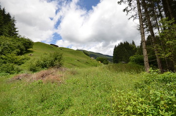 Alpen im Sommer