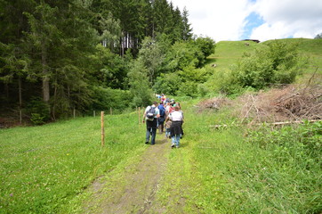 Alpen im Sommer