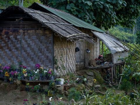 Hut in village, Yangthang Village, Gyalshing, West Sikkim, Sikkim, India