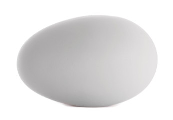Egg isolated on white background