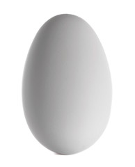 Egg isolated on white background