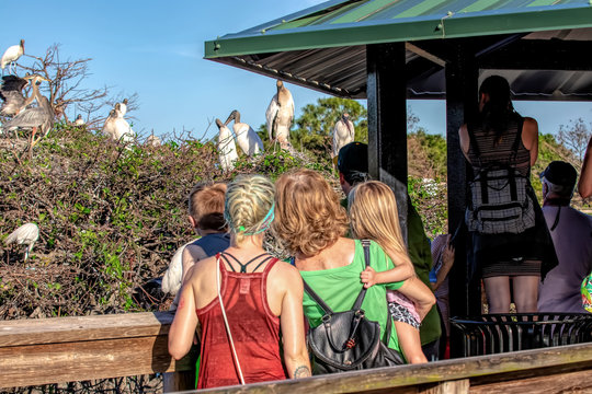 Children And Adults Birdwatching