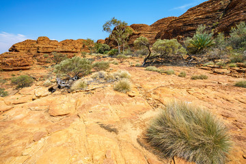 hiking in kings canyon in the sun, watarrka national park, northern territory, australia 53