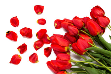 Spring time. Beautiful red tulips and scattered petals on a white background. Top View, Flat lay.