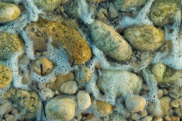 Piedras húmedas variadas en la playa