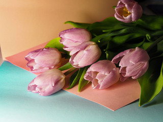 bouquet of tulips