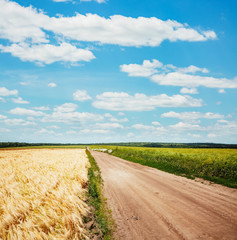 Captivating scene of the countryside with white fluffy clouds.