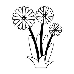 Flowers with leaves cartoon in black and white