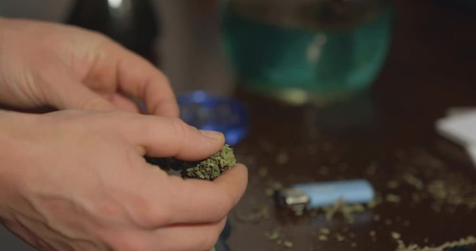 A fresh green marijuana bud is inspected with drug paraphernalia in the background.
