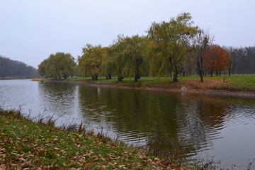 landscape with river and blue sky
