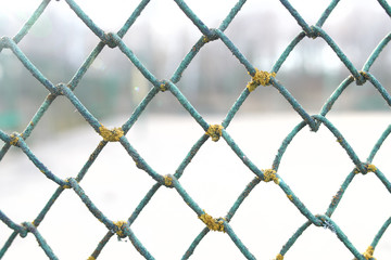 Fototapeta premium View through the grate Rabitz background.