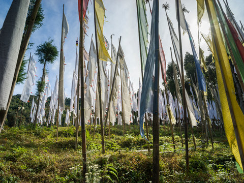 Religious flags at monastery, Shanku Monastery, Radhu Khandu Village, Sikkim, India