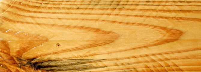 Cropped close up of Polyurethaned plain pine plank board showing grain and saw marks.