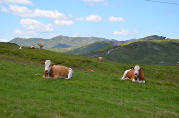 Alpen