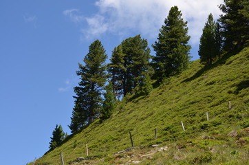 Alpen