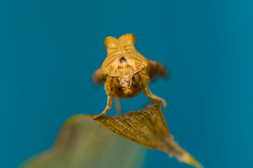 GUARDAMI NEGLI OCCHI