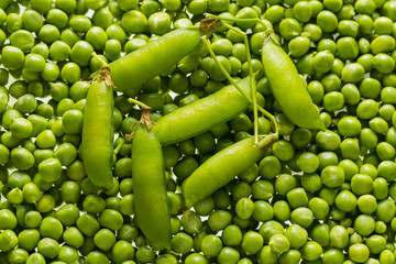 Fototapeta na wymiar Green peas kernels of fresh harvest