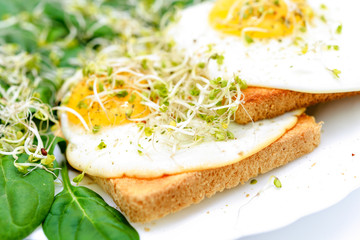 Tasty fried eggs on toast with spinach and young sprouts on a white plate in close-up