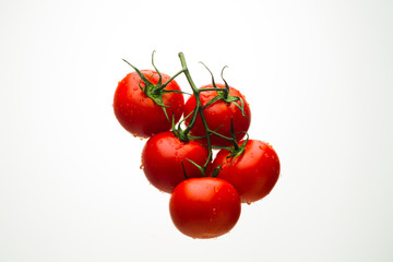 Red tomatoes on a branch with drops of water on a white background