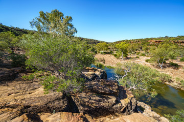 murchison river from ross graham lookout, kalbarri national park, western australia 10