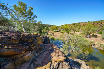 Fototapeta na wymiar murchison river from ross graham lookout, kalbarri national park, western australia 16