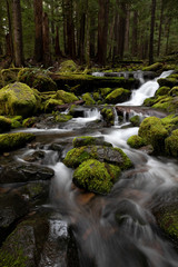 Olympic National Park, WA, USA. 