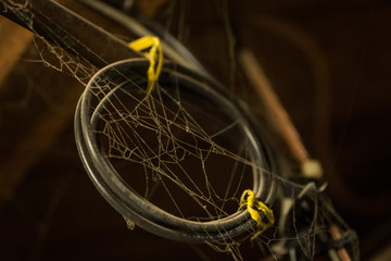 Electrical wires in a basement with cobwebs