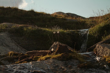 small waterfall in the grasslands
