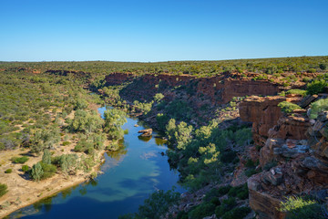 Fototapeta premium murchison river from hawks head lookout, kalbarri national park, western australia 16